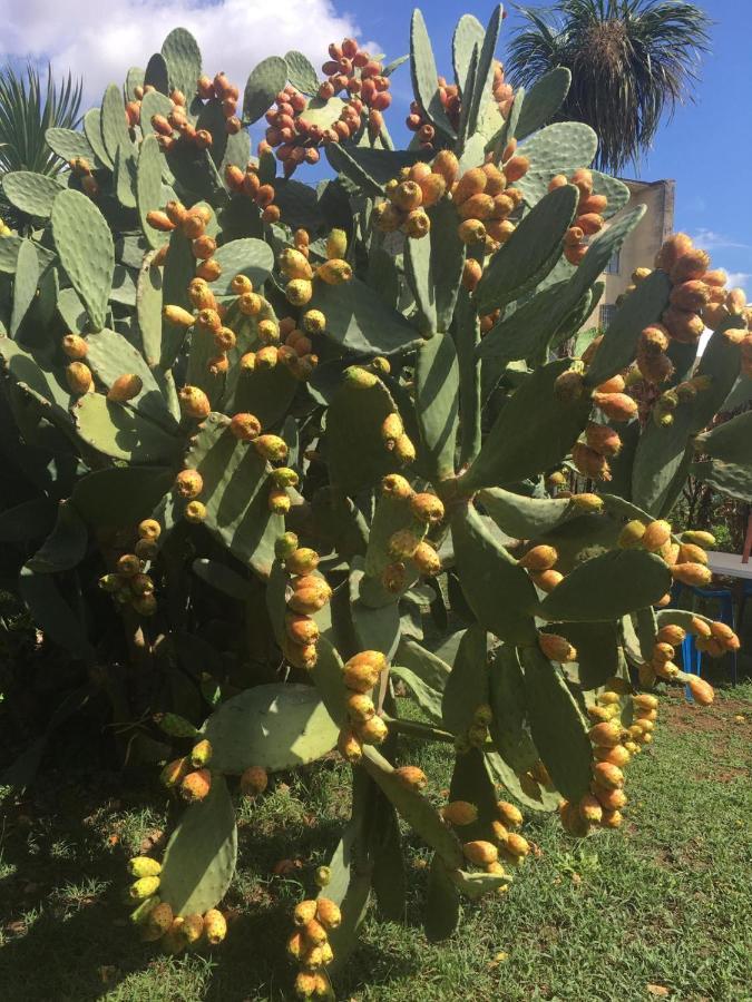 Il Giardino Degli Agrumi Казерта Экстерьер фото