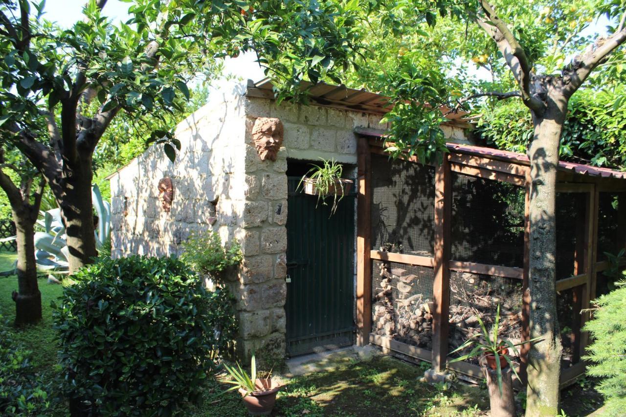 Il Giardino Degli Agrumi Казерта Экстерьер фото