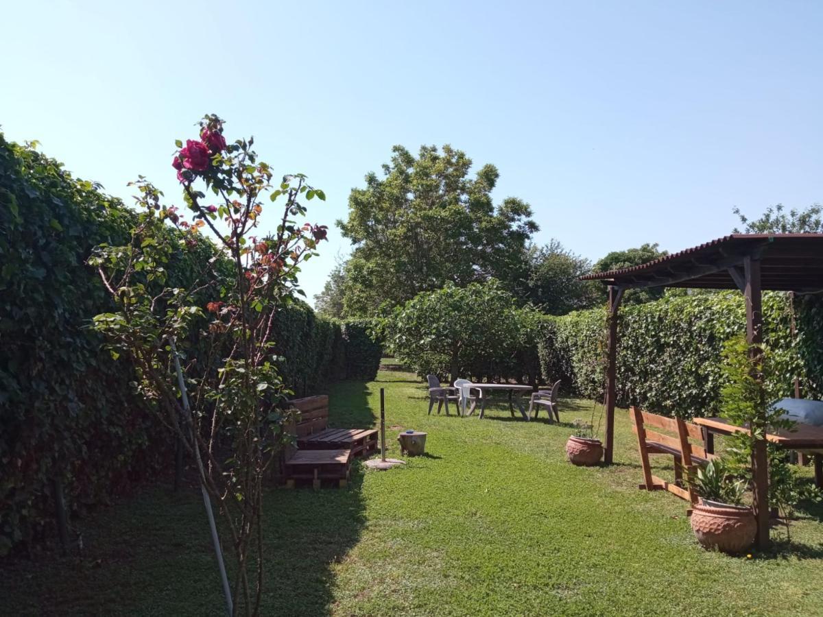 Il Giardino Degli Agrumi Казерта Экстерьер фото